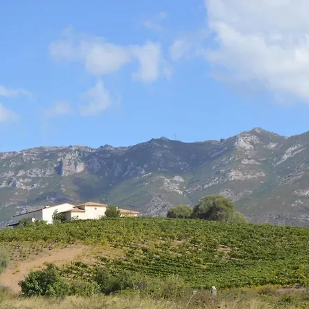 Oletta, Avec Piscine Et Tennis Communs, A 5km De St Florent *
